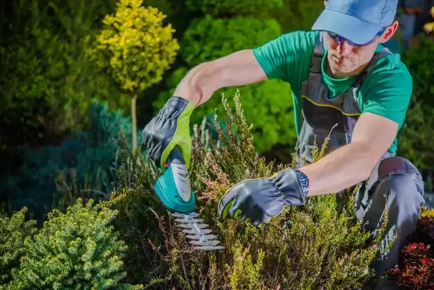 landscaping services West Mansfield